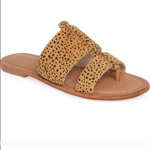 Caslon Mateo Genuine CalfHair Slide Sandal Cheetah